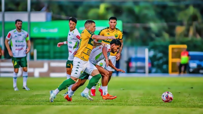 amp-55034319147_738608cc68_c